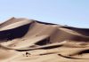 Camellos en Erg Chebbi (Sahara de Marruecos)