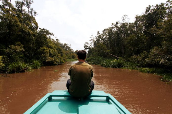 Jungla de Borneo (Indonesia), donde el turismo se convierte en una alternativa a la explotación forestal